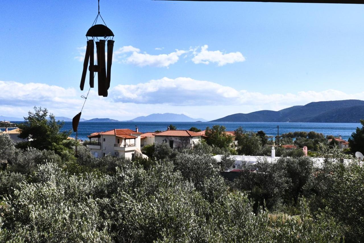 Pavlos' Cottage With Beach View Kórfos エクステリア 写真